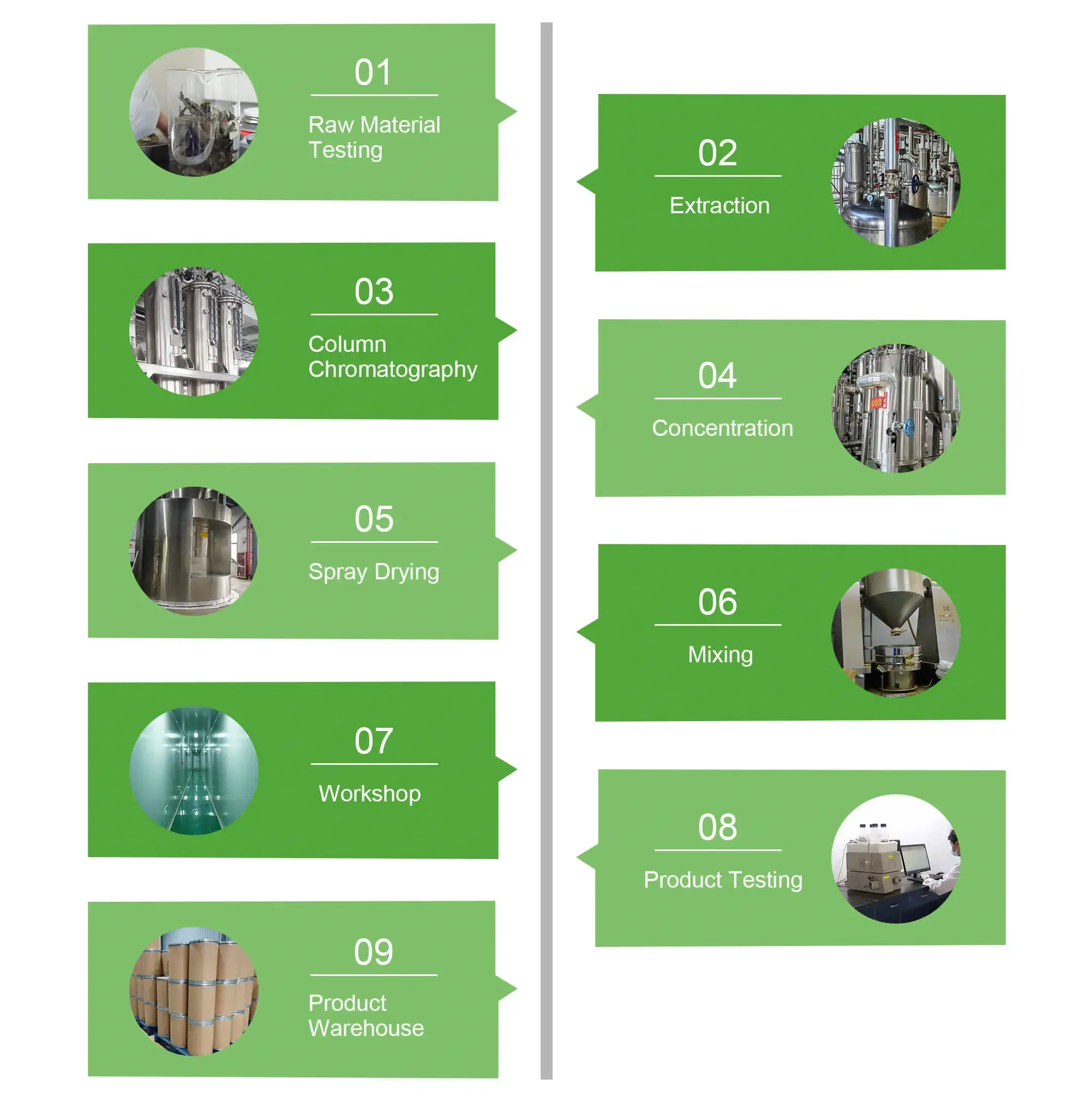 plant extraction chart.webp